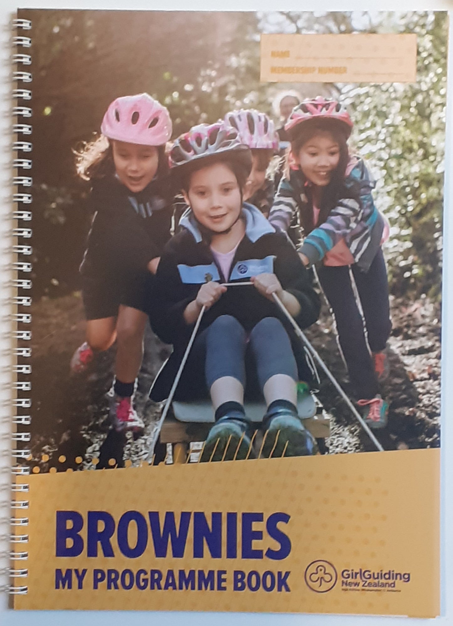 Replacement Brownie Book