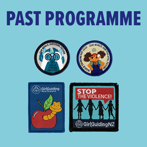 Past Programme Badges