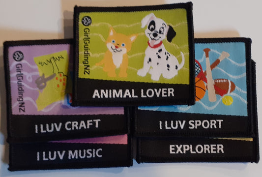 Fun Badge Pack - 5 Different Fun collectible badges