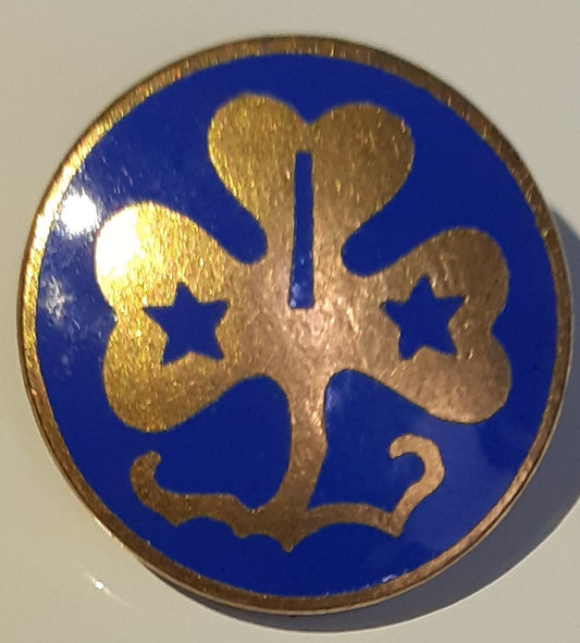 Vintage Girl Scouts WAGGGS World Pin