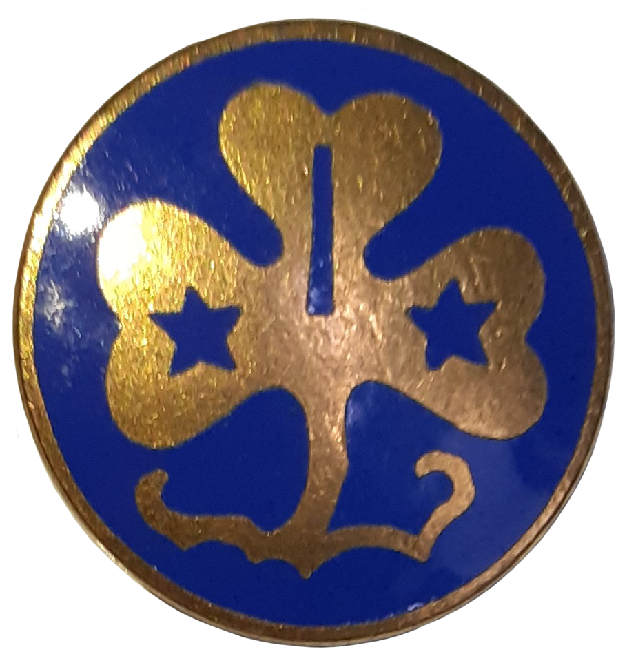 Vintage Girl Scouts WAGGGS World Pin