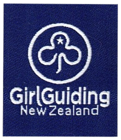 GGNZ Logo Mini Badge